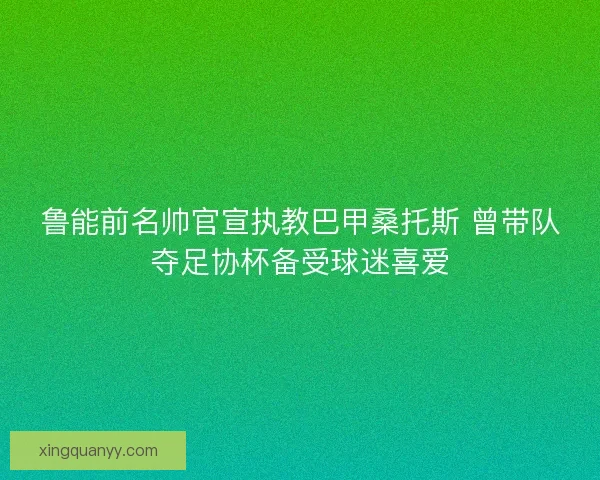 鲁能前名帅官宣执教巴甲桑托斯 曾带队夺足协杯备受球迷喜爱